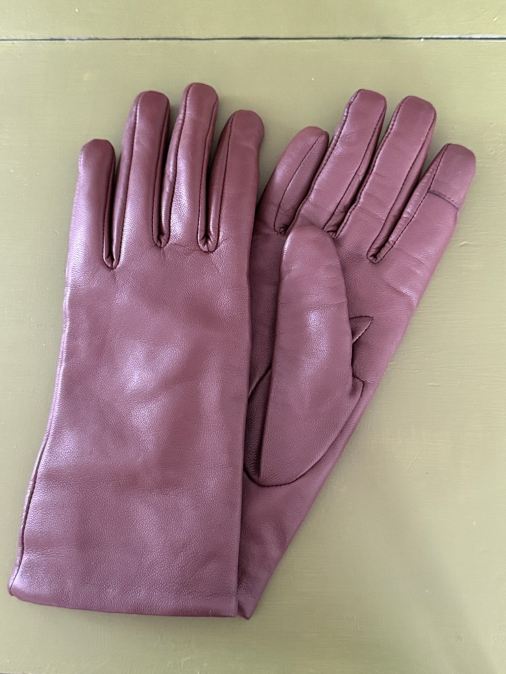 Quince Women's Lambskin Leather Gloves Cashmere Lined - Brown Small